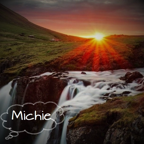 Michie62