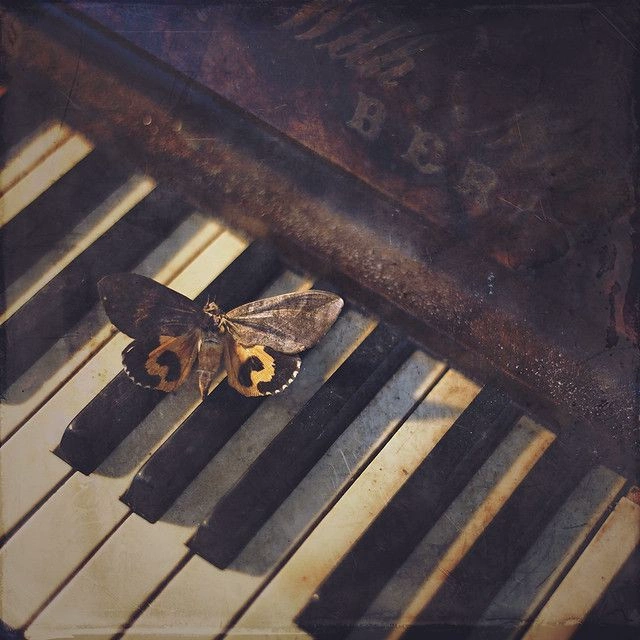 World Music